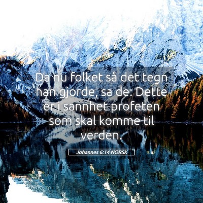 Picture 05 - Johannes 6:14 NORSK - Da nu folket så det tegn han gjorde, sa de: - Bible Verse Picture