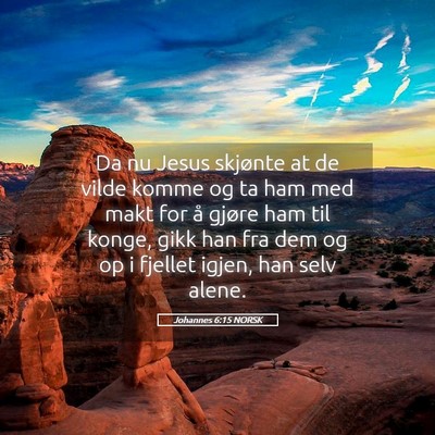 Picture 05 - Johannes 6:15 NORSK - Da nu Jesus skjønte at de vilde komme og ta ham - Bible Verse Picture