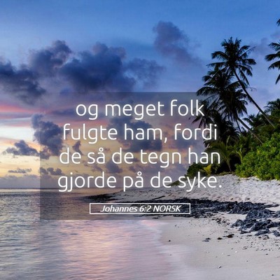 Picture 05 - Johannes 6:2 NORSK - og meget folk fulgte ham, fordi de så de tegn - Bible Verse Picture