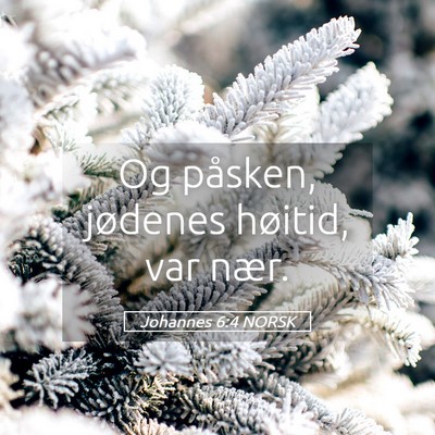 Picture 05 - Johannes 6:4 NORSK - Og påsken, jødenes høitid, var - Bible Verse Picture