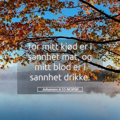 Picture 05 - Johannes 6:55 NORSK - for mitt kjød er i sannhet mat, og mitt blod er - Bible Verse Picture