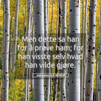 Picture 05 - Johannes 6:6 NORSK - Men dette sa han for å prøve ham; for han - Bible Verse Picture