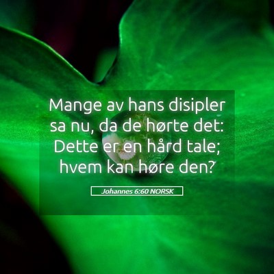 Picture 05 - Johannes 6:60 NORSK - Mange av hans disipler sa nu, da de hørte det: - Bible Verse Picture