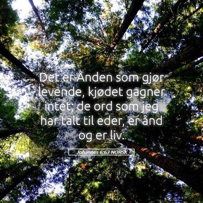 Picture 05 - Johannes 6:63 NORSK - Det er Ånden som gjør levende, kjødet gagner - Bible Verse Picture