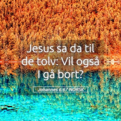 Picture 05 - Johannes 6:67 NORSK - Jesus sa da til de tolv: Vil også I gå - Bible Verse Picture