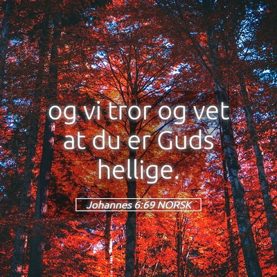 Picture 05 - Johannes 6:69 NORSK - og vi tror og vet at du er Guds - Bible Verse Picture
