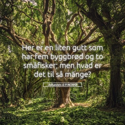 Picture 05 - Johannes 6:9 NORSK - Her er en liten gutt som har fem byggbrød og to - Bible Verse Picture