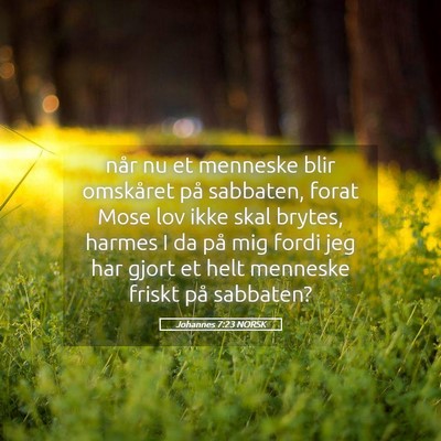 Picture 05 - Johannes 7:23 NORSK - når nu et menneske blir omskåret på sabbaten, - Bible Verse Picture