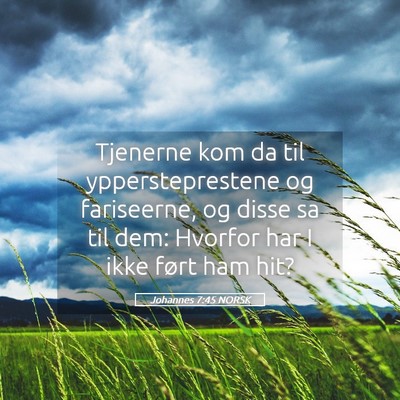 Picture 05 - Johannes 7:45 NORSK - Tjenerne kom da til yppersteprestene og - Bible Verse Picture