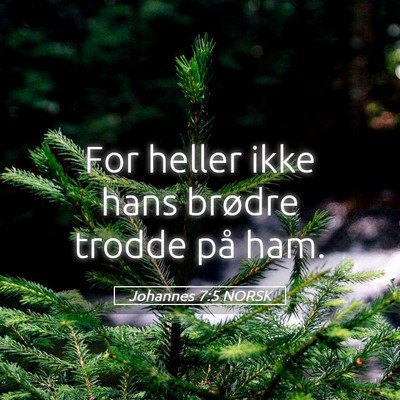 Picture 05 - Johannes 7:5 NORSK - For heller ikke hans brødre trodde på - Bible Verse Picture