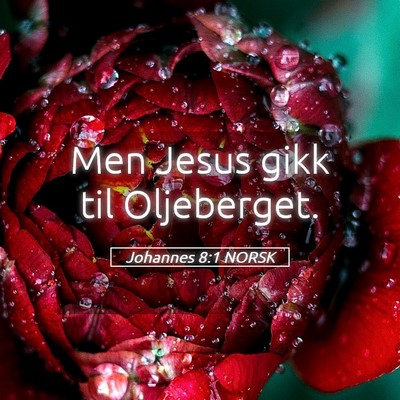Picture 05 - Johannes 8:1 NORSK - Men Jesus gikk til - Bible Verse Picture