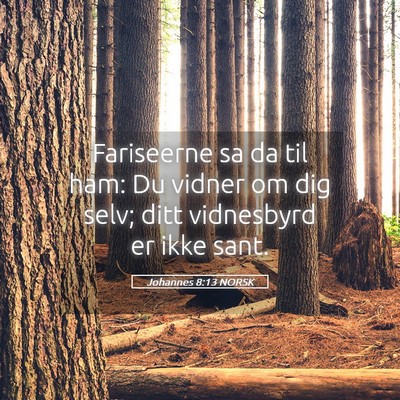 Picture 05 - Johannes 8:13 NORSK - Fariseerne sa da til ham: Du vidner om dig selv; - Bible Verse Picture