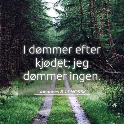 Picture 05 - Johannes 8:15 NORSK - I dømmer efter kjødet; jeg dømmer - Bible Verse Picture