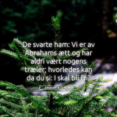 Picture 05 - Johannes 8:33 NORSK - De svarte ham: Vi er av Abrahams ætt og har - Bible Verse Picture