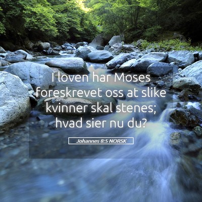 Picture 05 - Johannes 8:5 NORSK - I loven har Moses foreskrevet oss at slike - Bible Verse Picture