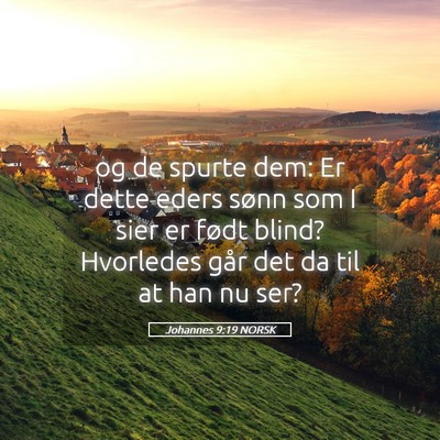 Picture 05 - Johannes 9:19 NORSK - og de spurte dem: Er dette eders sønn som I sier - Bible Verse Picture