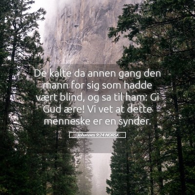Picture 05 - Johannes 9:24 NORSK - De kalte da annen gang den mann for sig som hadde - Bible Verse Picture