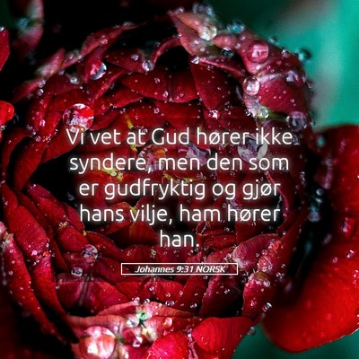 Picture 05 - Johannes 9:31 NORSK - Vi vet at Gud hører ikke syndere, men den som er - Bible Verse Picture