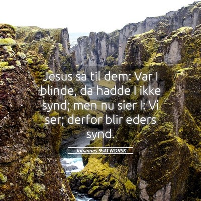 Picture 05 - Johannes 9:41 NORSK - Jesus sa til dem: Var I blinde, da hadde I ikke - Bible Verse Picture