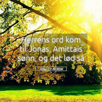 Picture 05 - Jona 1:1 NORSK - Herrens ord kom til Jonas, Amittais sønn, og det - Bible Verse Picture