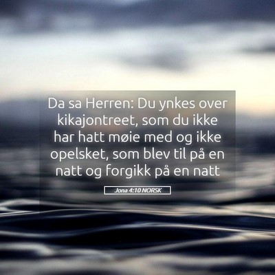 Picture 05 - Jona 4:10 NORSK - Da sa Herren: Du ynkes over kikajontreet, som du - Bible Verse Picture