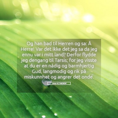Picture 05 - Jona 4:2 NORSK - Og han bad til Herren og sa: Å Herre! Var det - Bible Verse Picture