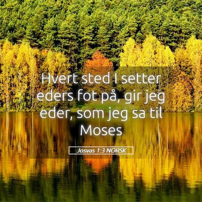 Picture 05 - Josvas 1:3 NORSK - Hvert sted I setter eders fot på, gir jeg eder, - Bible Verse Picture