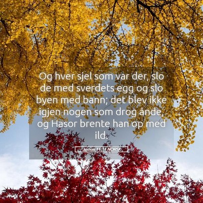 Picture 05 - Josvas 11:11 NORSK - Og hver sjel som var der, slo de med sverdets egg - Bible Verse Picture