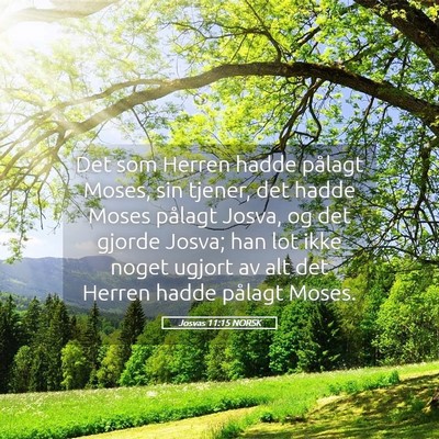 Picture 05 - Josvas 11:15 NORSK - Det som Herren hadde pålagt Moses, sin tjener, - Bible Verse Picture