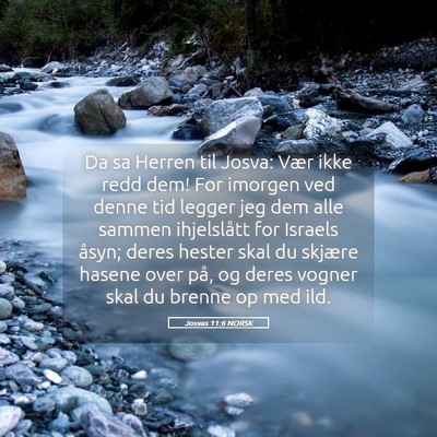 Picture 05 - Josvas 11:6 NORSK - Da sa Herren til Josva: Vær ikke redd dem! For - Bible Verse Picture