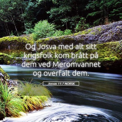 Picture 05 - Josvas 11:7 NORSK - Og Josva med alt sitt krigsfolk kom brått på - Bible Verse Picture