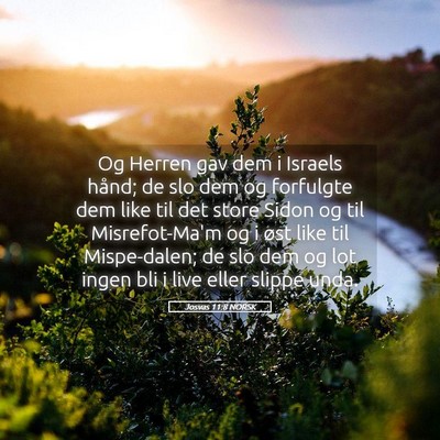 Picture 05 - Josvas 11:8 NORSK - Og Herren gav dem i Israels hånd; de slo dem og - Bible Verse Picture