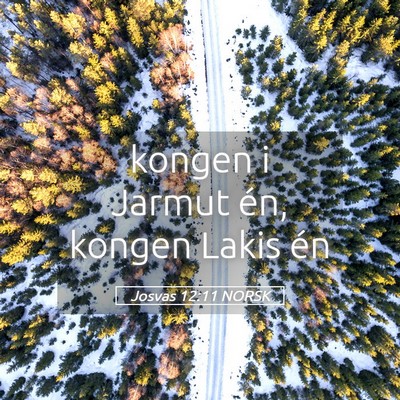 Picture 05 - Josvas 12:11 NORSK - kongen i Jarmut én, kongen Lakis - Bible Verse Picture