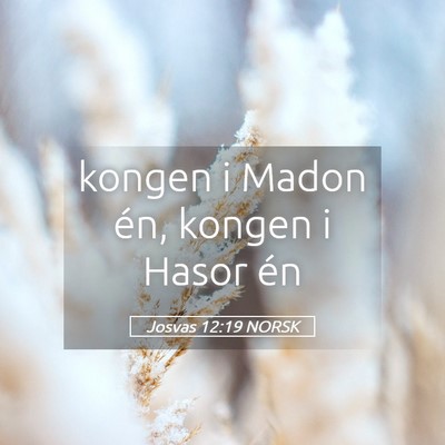 Picture 05 - Josvas 12:19 NORSK - kongen i Madon én, kongen i Hasor - Bible Verse Picture