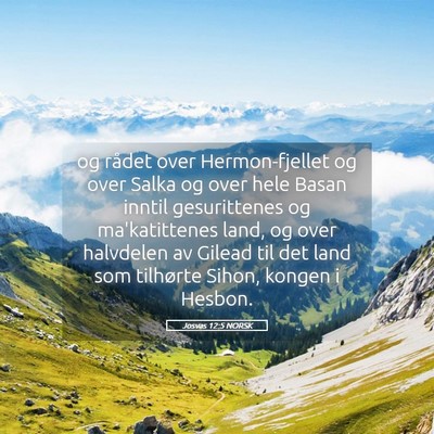 Picture 05 - Josvas 12:5 NORSK - og rådet over Hermon-fjellet og over Salka og - Bible Verse Picture