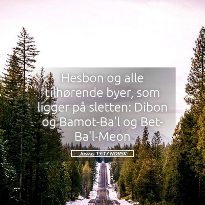 Picture 05 - Josvas 13:17 NORSK - Hesbon og alle tilhørende byer, som ligger på - Bible Verse Picture