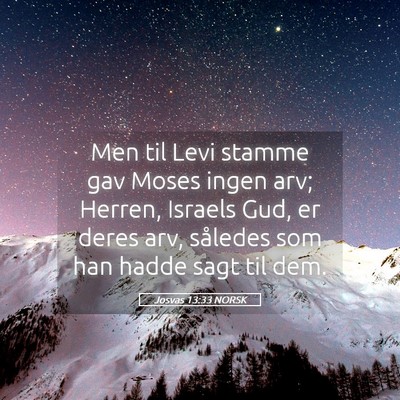 Picture 05 - Josvas 13:33 NORSK - Men til Levi stamme gav Moses ingen arv; Herren, - Bible Verse Picture