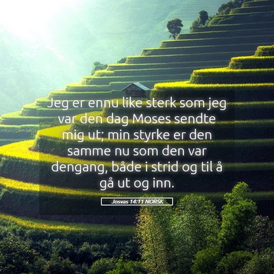 Picture 05 - Josvas 14:11 NORSK - Jeg er ennu like sterk som jeg var den dag Moses - Bible Verse Picture