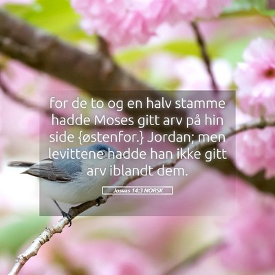 Picture 05 - Josvas 14:3 NORSK - for de to og en halv stamme hadde Moses gitt arv - Bible Verse Picture