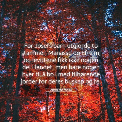 Picture 05 - Josvas 14:4 NORSK - For Josefs barn utgjorde to stammer, Manasse og - Bible Verse Picture