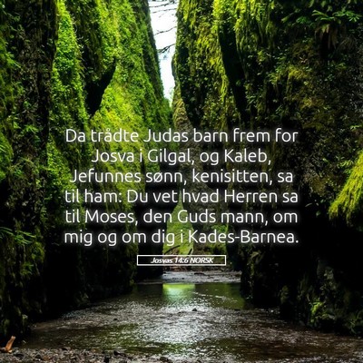 Picture 05 - Josvas 14:6 NORSK - Da trådte Judas barn frem for Josva i Gilgal, og - Bible Verse Picture