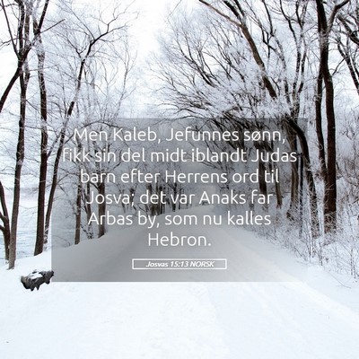 Picture 05 - Josvas 15:13 NORSK - Men Kaleb, Jefunnes sønn, fikk sin del midt - Bible Verse Picture