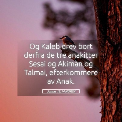 Picture 05 - Josvas 15:14 NORSK - Og Kaleb drev bort derfra de tre anakitter Sesai - Bible Verse Picture