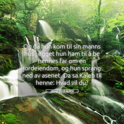 Picture 05 - Josvas 15:18 NORSK - Og da hun kom til sin manns hus , egget hun ham - Bible Verse Picture