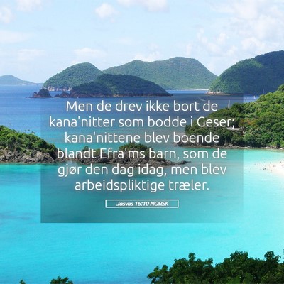 Picture 05 - Josvas 16:10 NORSK - Men de drev ikke bort de kana'nitter som bodde i - Bible Verse Picture