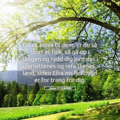 Picture 05 - Josvas 17:15 NORSK - Da sa Josva til dem: Er du så stort et folk, så - Bible Verse Picture