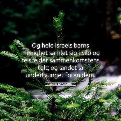 Picture 05 - Josvas 18:1 NORSK - Og hele Israels barns menighet samlet sig i Silo - Bible Verse Picture