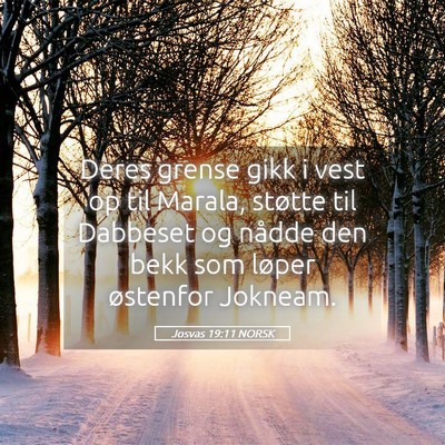 Picture 05 - Josvas 19:11 NORSK - Deres grense gikk i vest op til Marala, støtte - Bible Verse Picture
