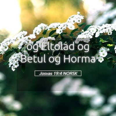 Picture 05 - Josvas 19:4 NORSK - og Eltolad og Betul og - Bible Verse Picture
