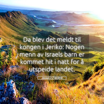 Picture 05 - Josvas 2:2 NORSK - Da blev det meldt til kongen i Jeriko: Nogen menn - Bible Verse Picture
